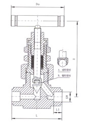 SS-6NBSW8T美标焊接针型阀结构示意图 SS-6NBSW8T美标焊接针型阀结构示意图