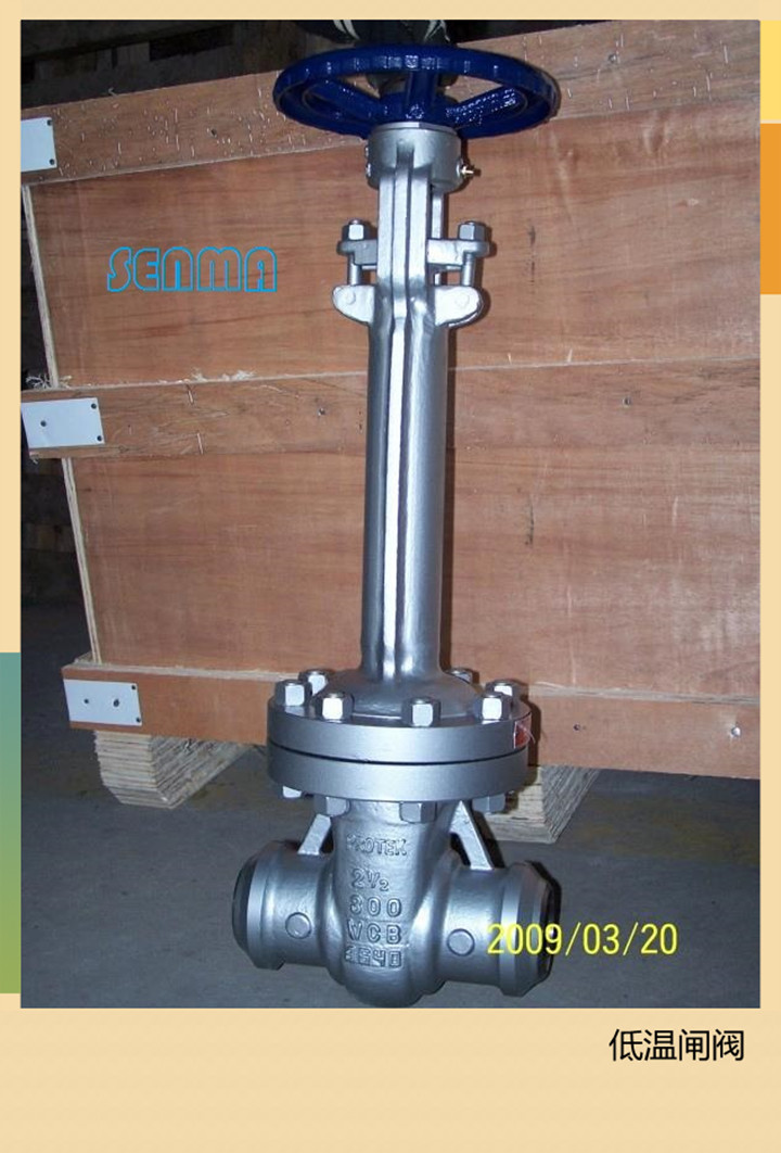 低温闸阀DZ40W-16P图片 低温闸阀DZ40W-16P图片