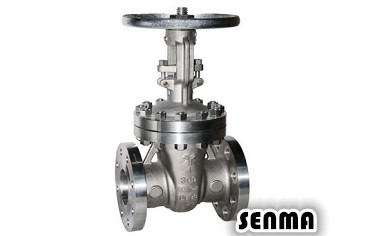 API锻钢闸阀Z41H-150LB图片 API锻钢闸阀Z41H-150LB图片